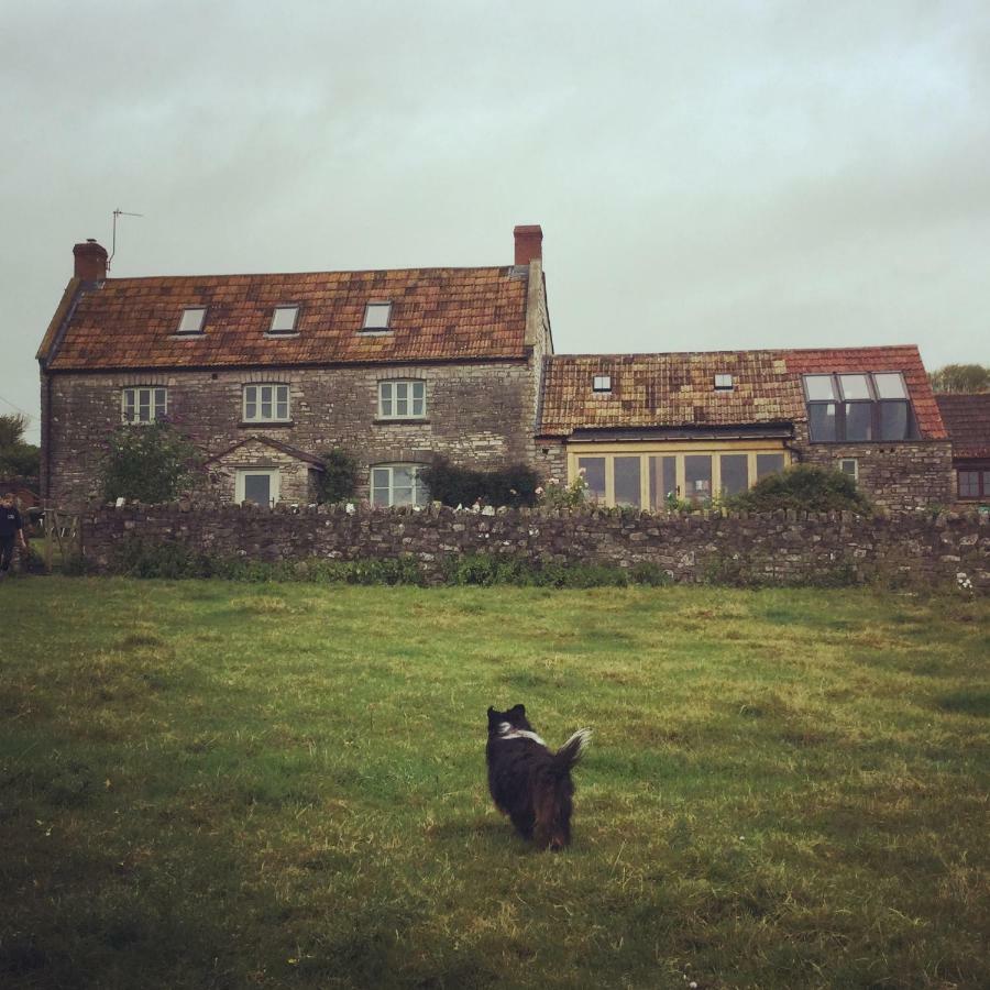 مبيت وإفطار Wedmore Castle Farm المظهر الخارجي الصورة