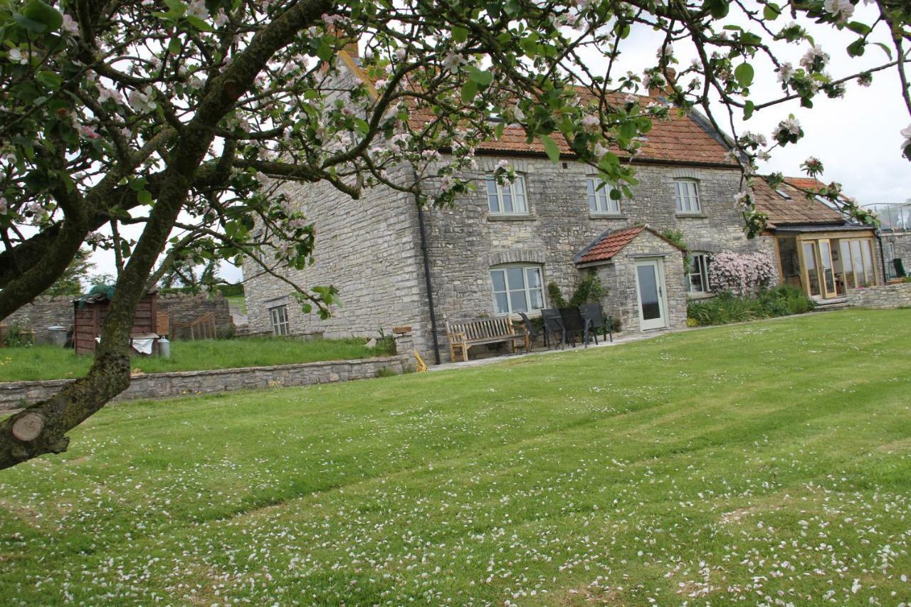 مبيت وإفطار Wedmore Castle Farm المظهر الخارجي الصورة