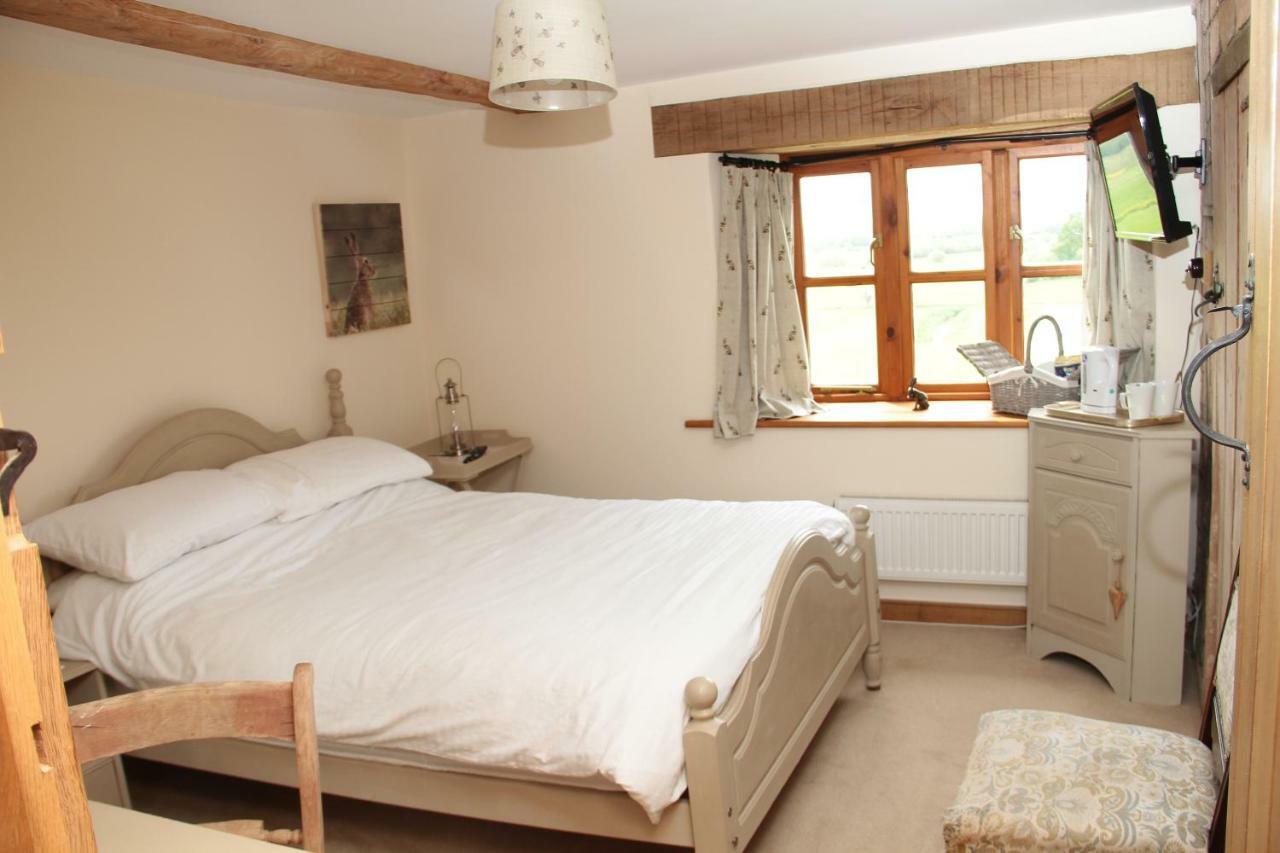 مبيت وإفطار Wedmore Castle Farm المظهر الخارجي الصورة